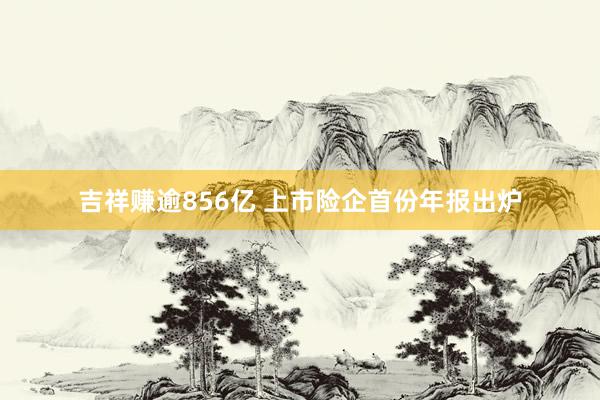 吉祥赚逾856亿 上市险企首份年报出炉