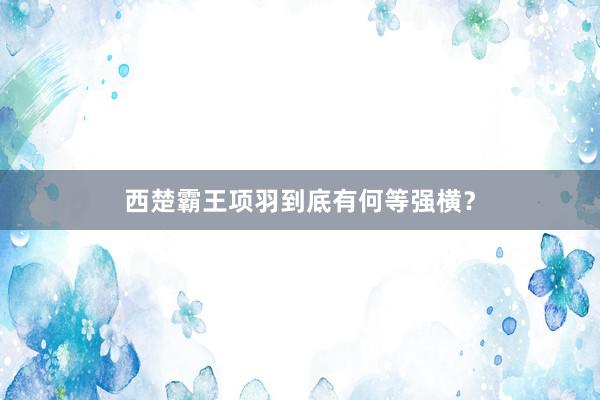 西楚霸王项羽到底有何等强横？