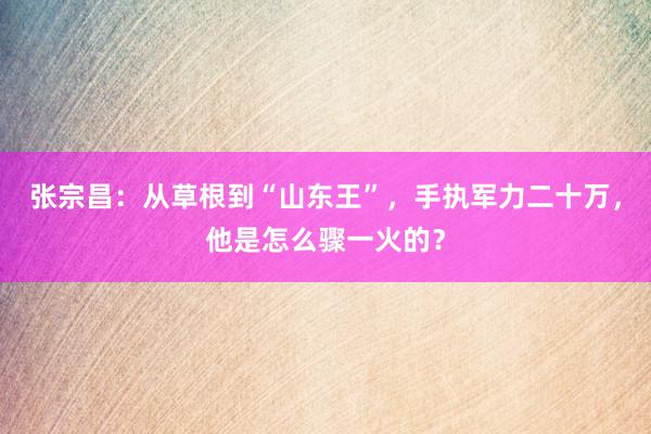 张宗昌：从草根到“山东王”，手执军力二十万，他是怎么骤一火的？