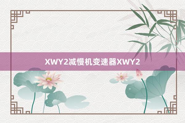 XWY2减慢机变速器XWY2