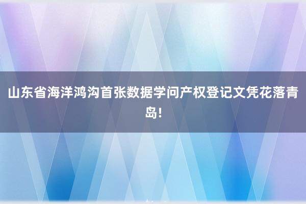 山东省海洋鸿沟首张数据学问产权登记文凭花落青岛!