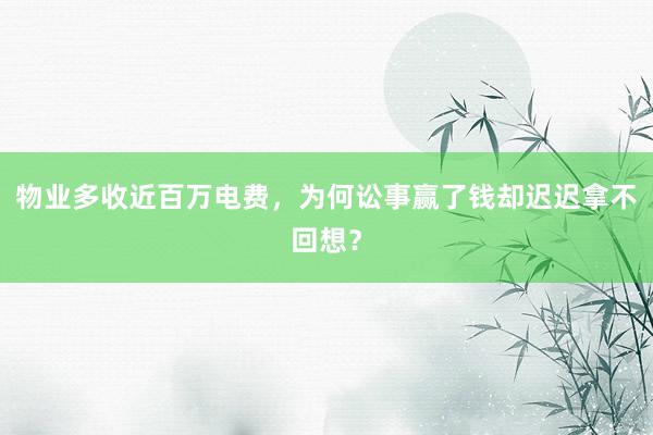 物业多收近百万电费，为何讼事赢了钱却迟迟拿不回想？