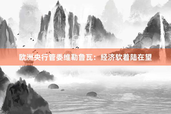 欧洲央行管委维勒鲁瓦：经济软着陆在望