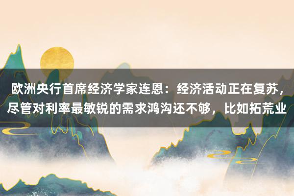 欧洲央行首席经济学家连恩：经济活动正在复苏，尽管对利率最敏锐的需求鸿沟还不够，比如拓荒业