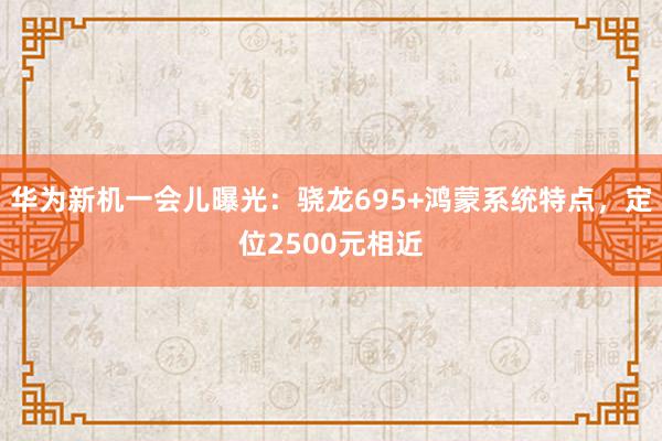 华为新机一会儿曝光：骁龙695+鸿蒙系统特点，定位2500元相近