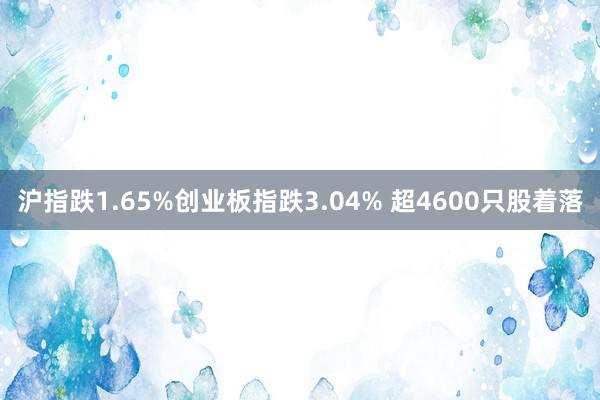 沪指跌1.65%创业板指跌3.04% 超4600只股着落