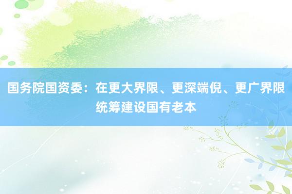 国务院国资委：在更大界限、更深端倪、更广界限统筹建设国有老本