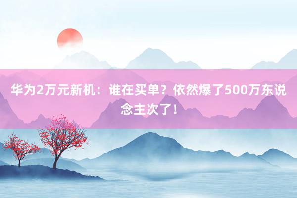 华为2万元新机：谁在买单？依然爆了500万东说念主次了！