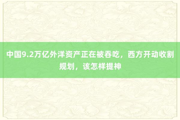 中国9.2万亿外洋资产正在被吞吃，西方开动收割规划，该怎样提神