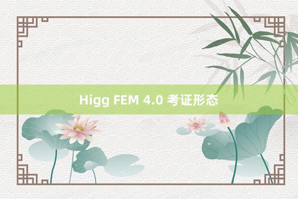 Higg FEM 4.0 考证形态